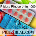 Píldora Rinoceronte 4000 new14